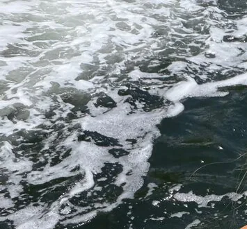 White wake churning off the stern of a boat running through dark green Florida Keys water